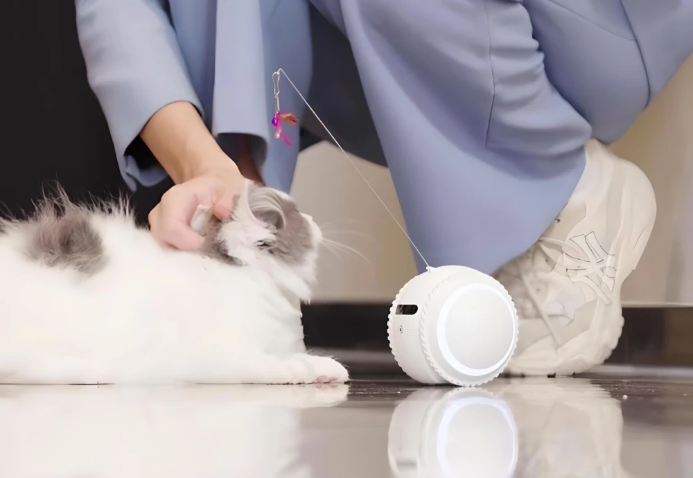 interactive pet camera for cats