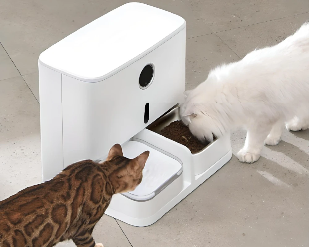 the best automatic pet feeder