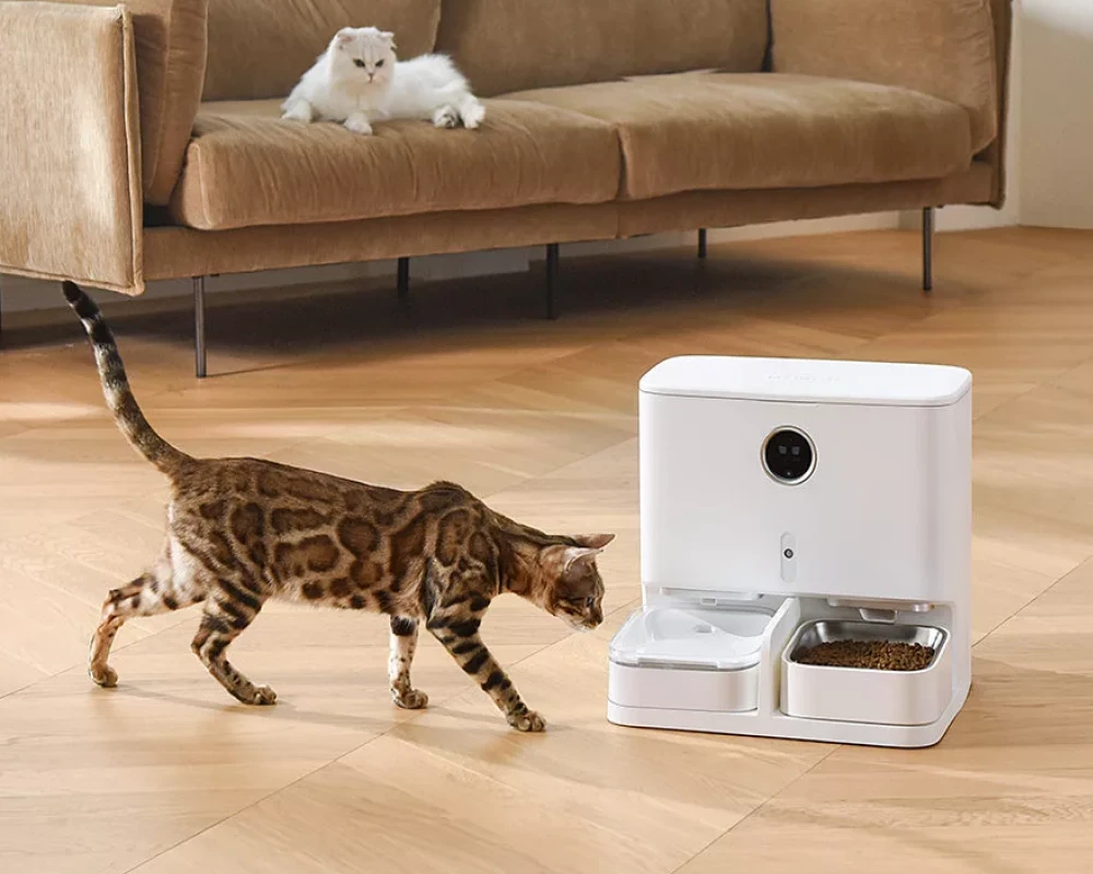 smart pet feeder with camera