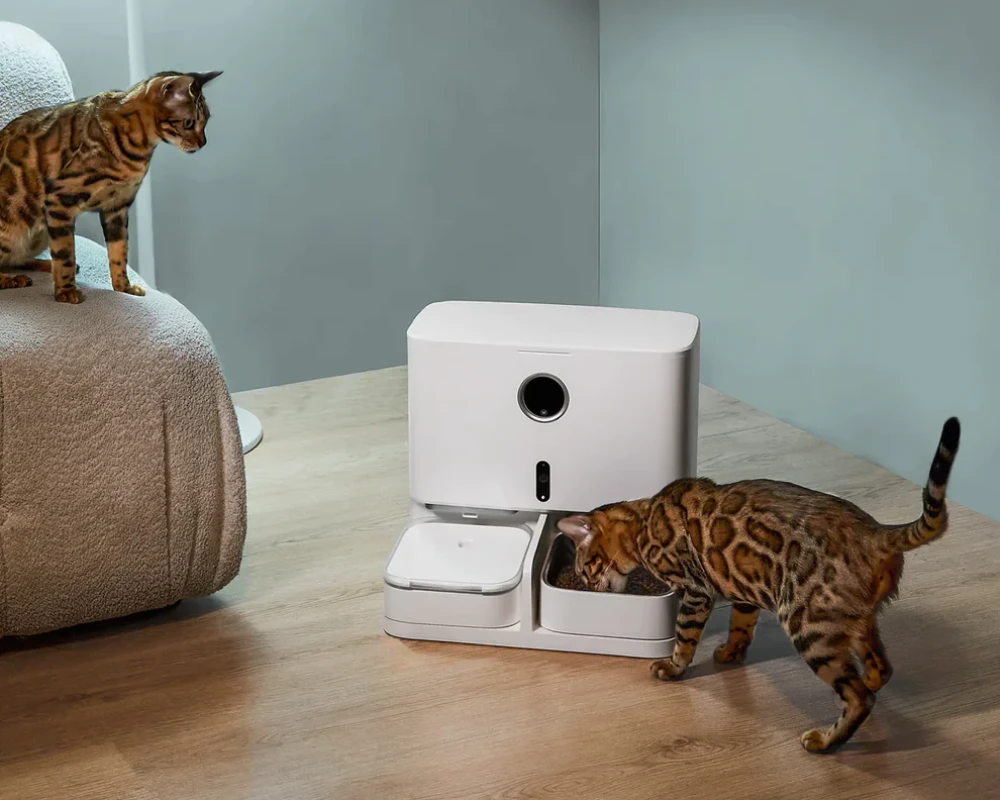 the best automatic pet feeder